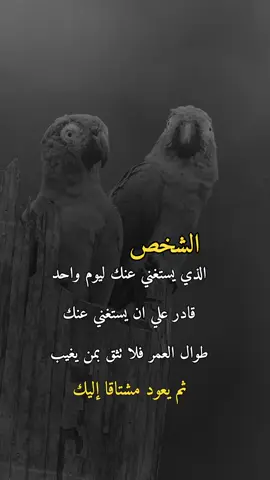 #fyp #⚰️ #explore #عبارات_حزينه💔 #😔💔🥀 