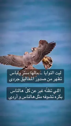 #فلسطين_أحساس_شاعر_لايك_فضلآ_وليس_أمرآ 