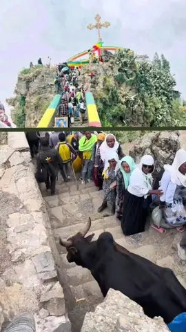 #ግሼን_ደብረ_ከርቤ #እንኳን_አደረሳችሁ_ውድ_ተዋህዶ_ልጆች #እንኳን_አደረሳችሁ_አደረሰን #💒🙏💒🙏💒🙏💒🙏💒 #💚💛❤️ @ሀ ሁ ሂ ሃ ሄ ህ ሆ 👈 ማለት መብቴ ነዉ አ 