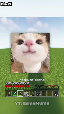 gg papá #Minecraft #survival #clips 