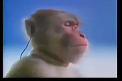 حد يسحب مني الجوال🗿 #اونقر_اونقر_لابوبو_🥰 