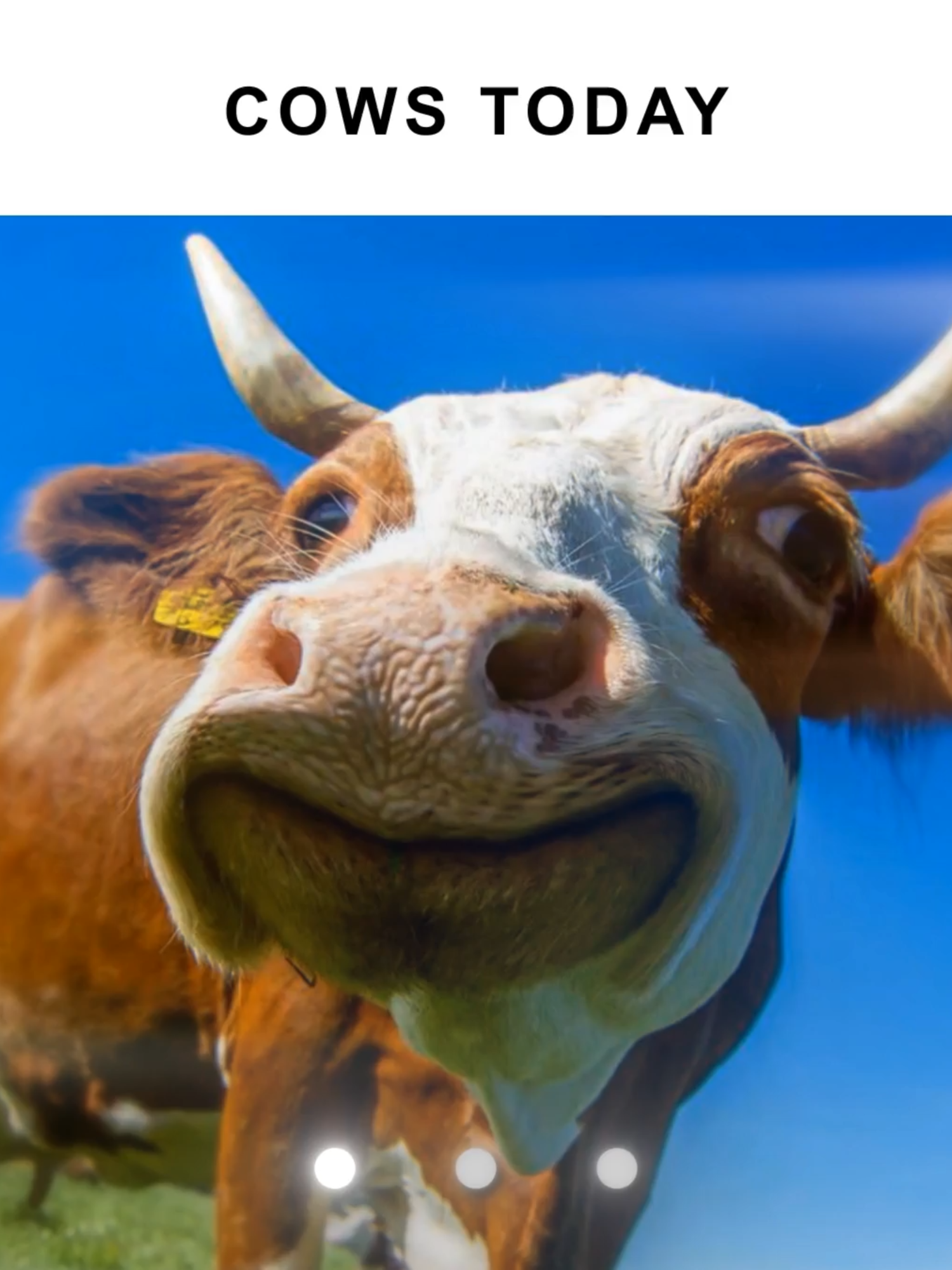 Wake up its the first of october already ? | #foru #fyp #firstofthemonth #october #aftereffectsedit #polishcow #cow #newmonth #firstday #trendin#blowthisup? #virall
