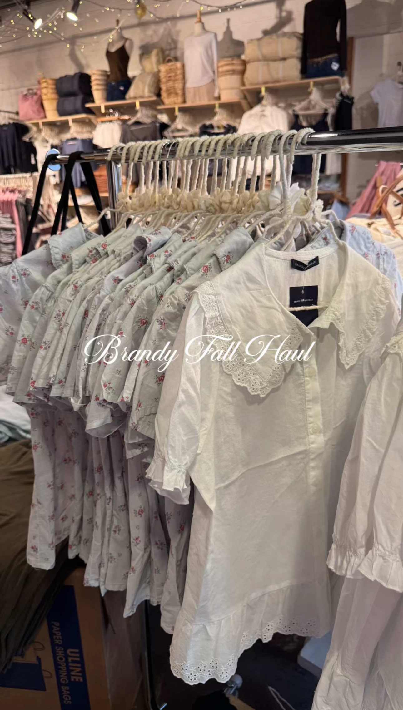 so many good fall things at brandy right now 🤎 #brandymelvillehaul #girly #brandymelville 