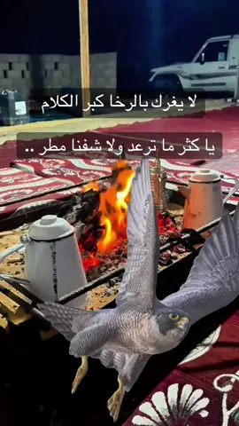 #فلسطين_أحساس_شاعر_لايك_فضلآ_وليس_أمرآ 