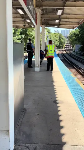 South Loop puncher just hit me in the head now he arrested. Rot. #chicago #southloop #redline #cta #fyp