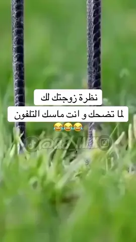 كل حترام لكم جميعا.طالب فزعتكم كل من يشاهد فيديو يتابعني وشكرا ❤❤❤❤❤