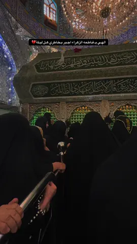 استشهاد فاطمه الزهراء عليه السلام #فاطمه_الزهراء_عليها_السلام_💔 #باسم_الكربلائي_رادود_ما_له_مثيل #شعب_الصيني_ماله_حل😂😂 #شعب_الصيني_ماله_حل😂 