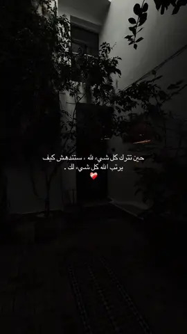 سبحان الله ✨🤍