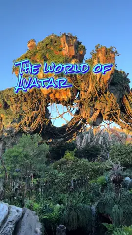 Pandora  The world  of Avatar in Animal Kingdom  Look how beautiful it is 😭😭😭 @Disney Parks @DisneyWorld  #animalkingdom #disney #disneyworld #avatar #fyp 