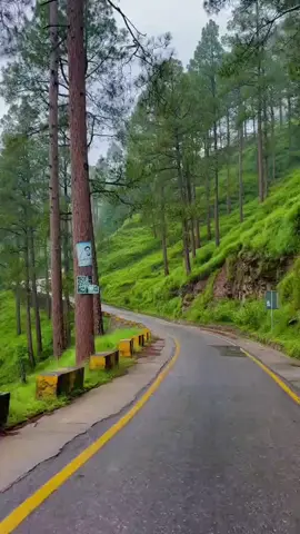 Guess The Song Name?? #foryoupage #viewsproblem #unfrezzmyaccount #viralvideo #waleedkashmiri055 