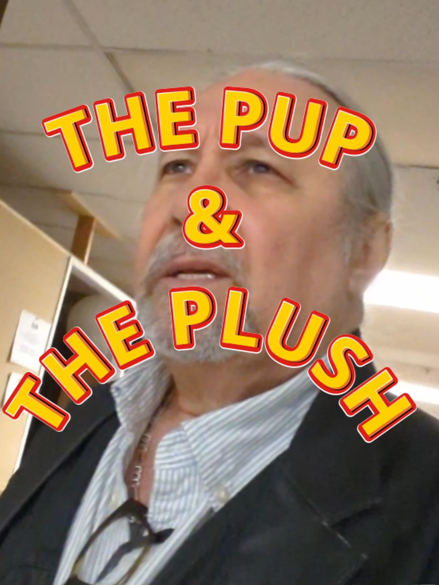 THE PUP & THE PLUSH: This happened in the production office one morning. #dog #dogtok #dogsofttiktok