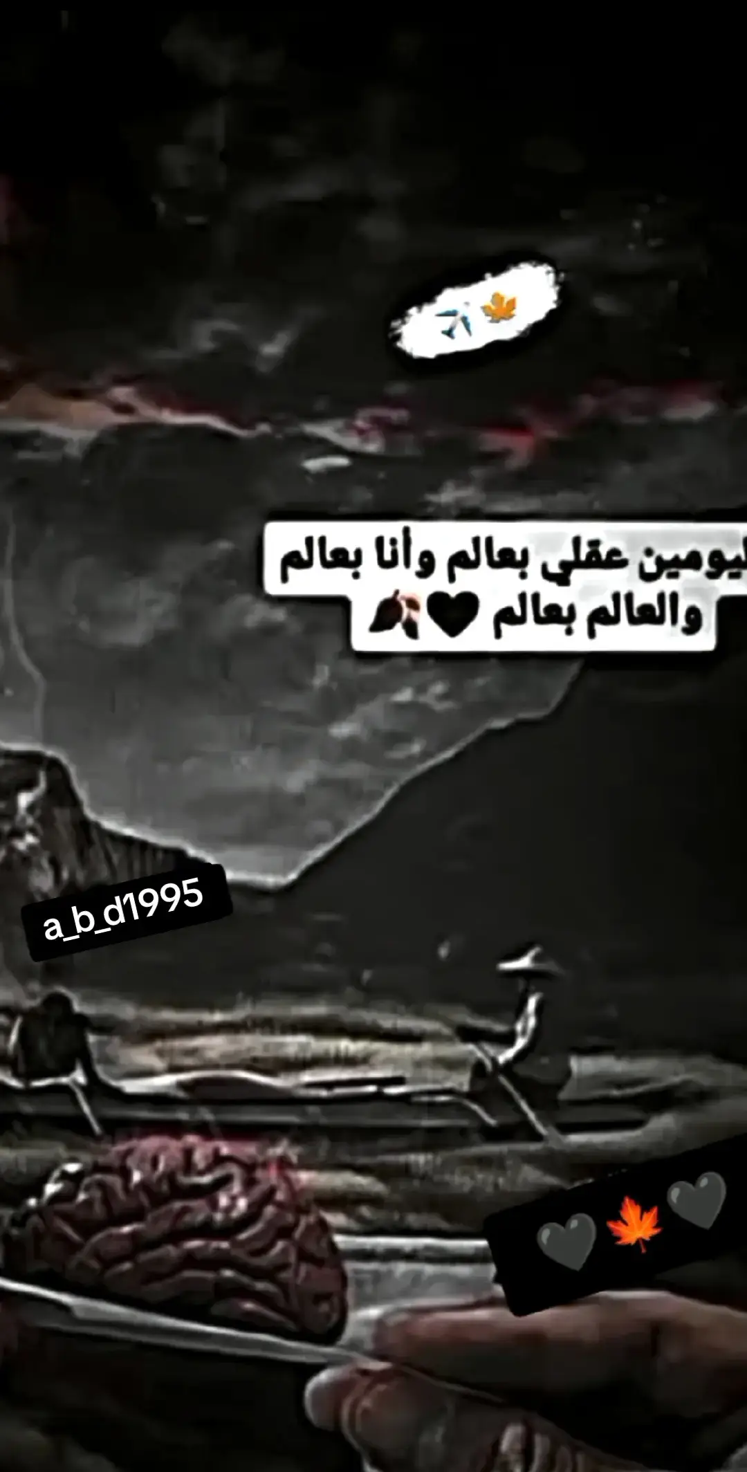 #هاليومين عقلي بعالم وانا بعالم والعالم بعالم 🖤🍂