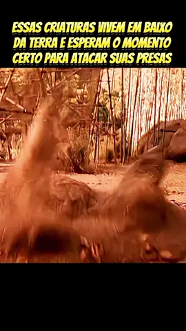 essas criaturas vivem em baixo da terra só esperando o momento certo para atacar suas presas#narradortiktok #ftv #filmesparaassistir #cenas #melhoresfilmes 