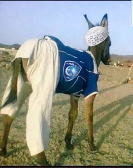#CapCut #الشعب_الصيني_ماله_حل😂😂 #😂😂 #fyp #الهلال 