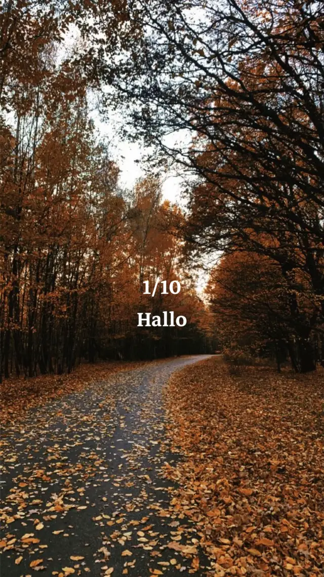 🍁🤎