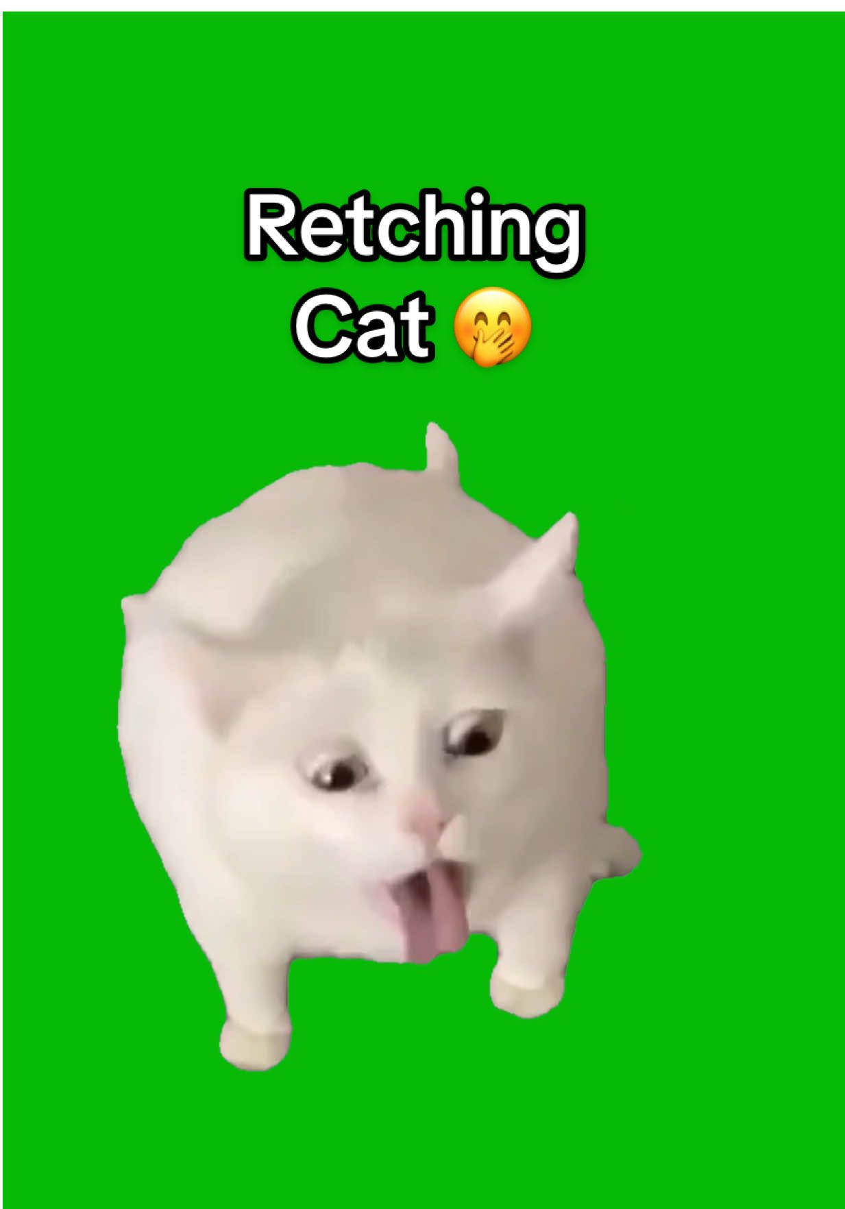 Retching Cat meme green screen capcut template #catmeme #catlovers #cattemplate #capcuttemplate #CapCut 