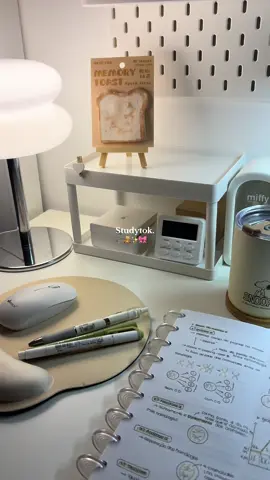 #studytok #study #fypp #aesthetic #minivlog 