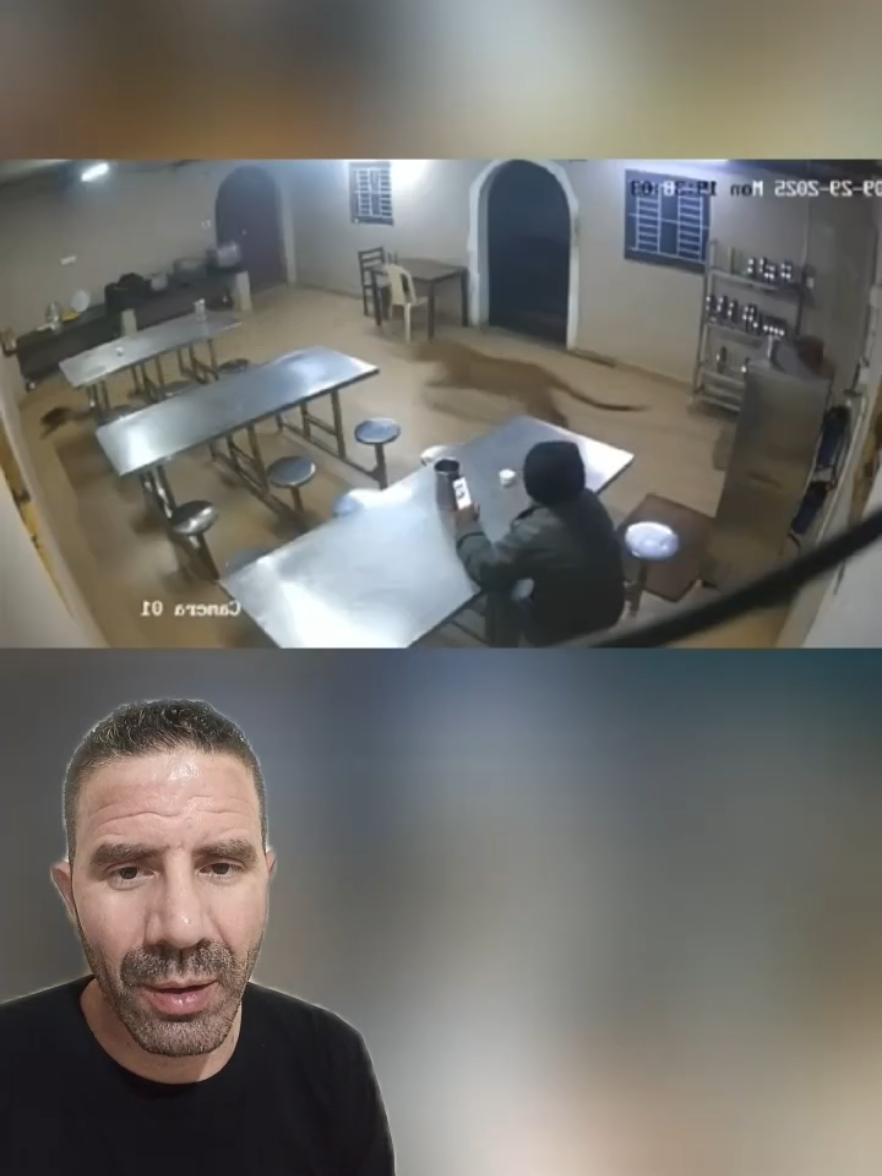 Leoa Persegue Gato Dentro de Restaurante! 🐱🏃‍♂️🦁😱 #leoa #gato #restaurante #animais #react 
