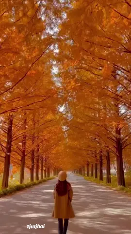 #welcomeoktober#rabu #salamsehatdanbahagiaselalu  #selamatpagisemua  #forryou 