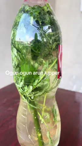 #fyppppppppppppppppppppppp 