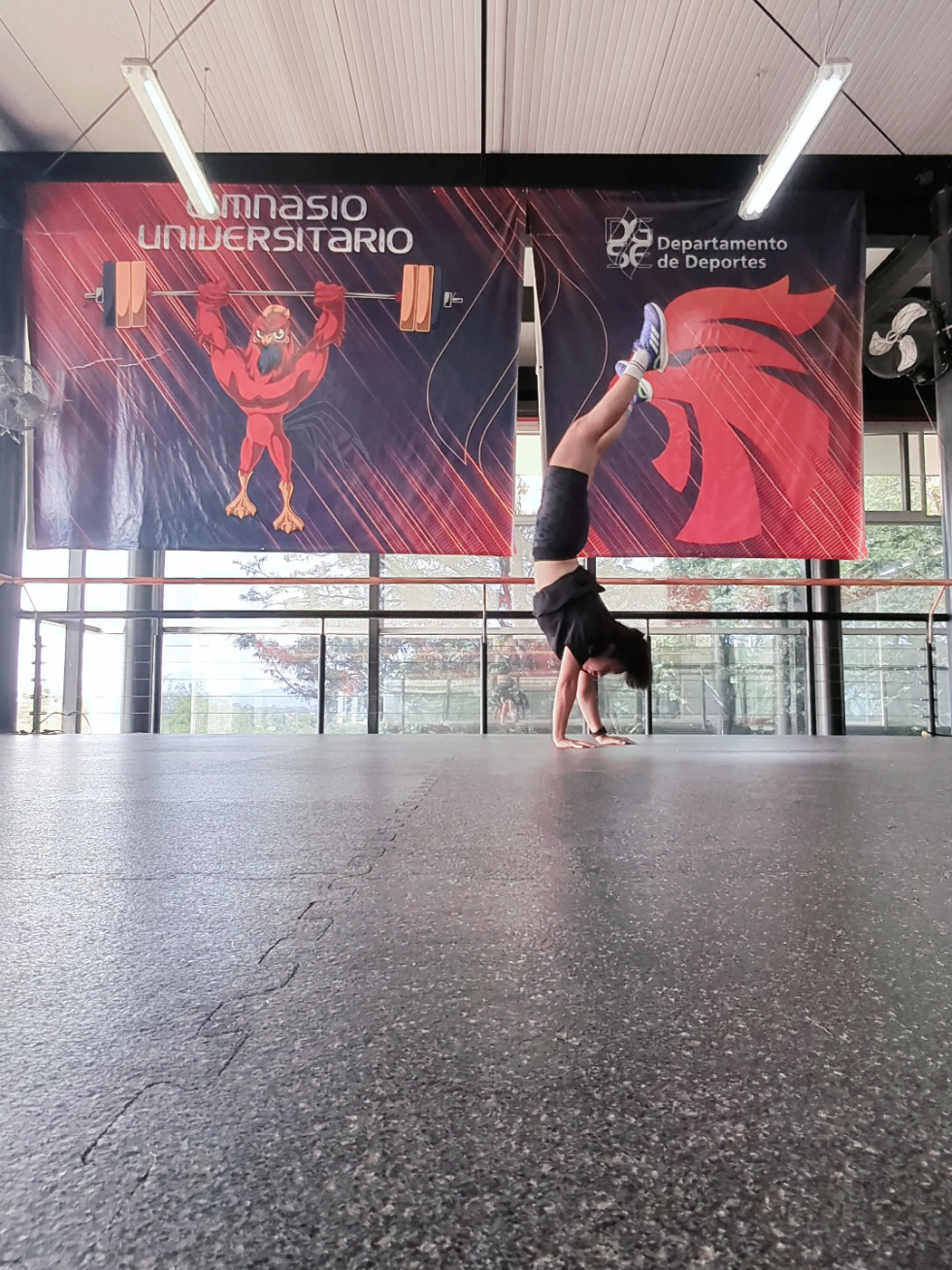 #handstandwalk #fyp #handstandpractice #paratiiiiiiiiiiiiiiiiiiiiiiiiiiiiiii #justme 