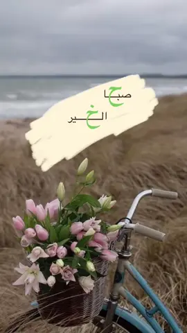 #في هذا اليوم 