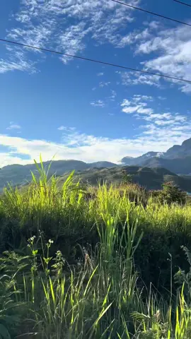 papua pegunungan ⛰️🍃#wamena #papuapedalaman #xybca #fyp 