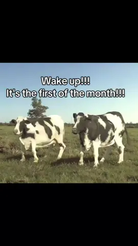 WAKE UP!! IT'S THE FIRST OF THE MONTH #october #fyp #VIRAL #cow 