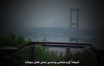 قناة التليكرام بالبايو 