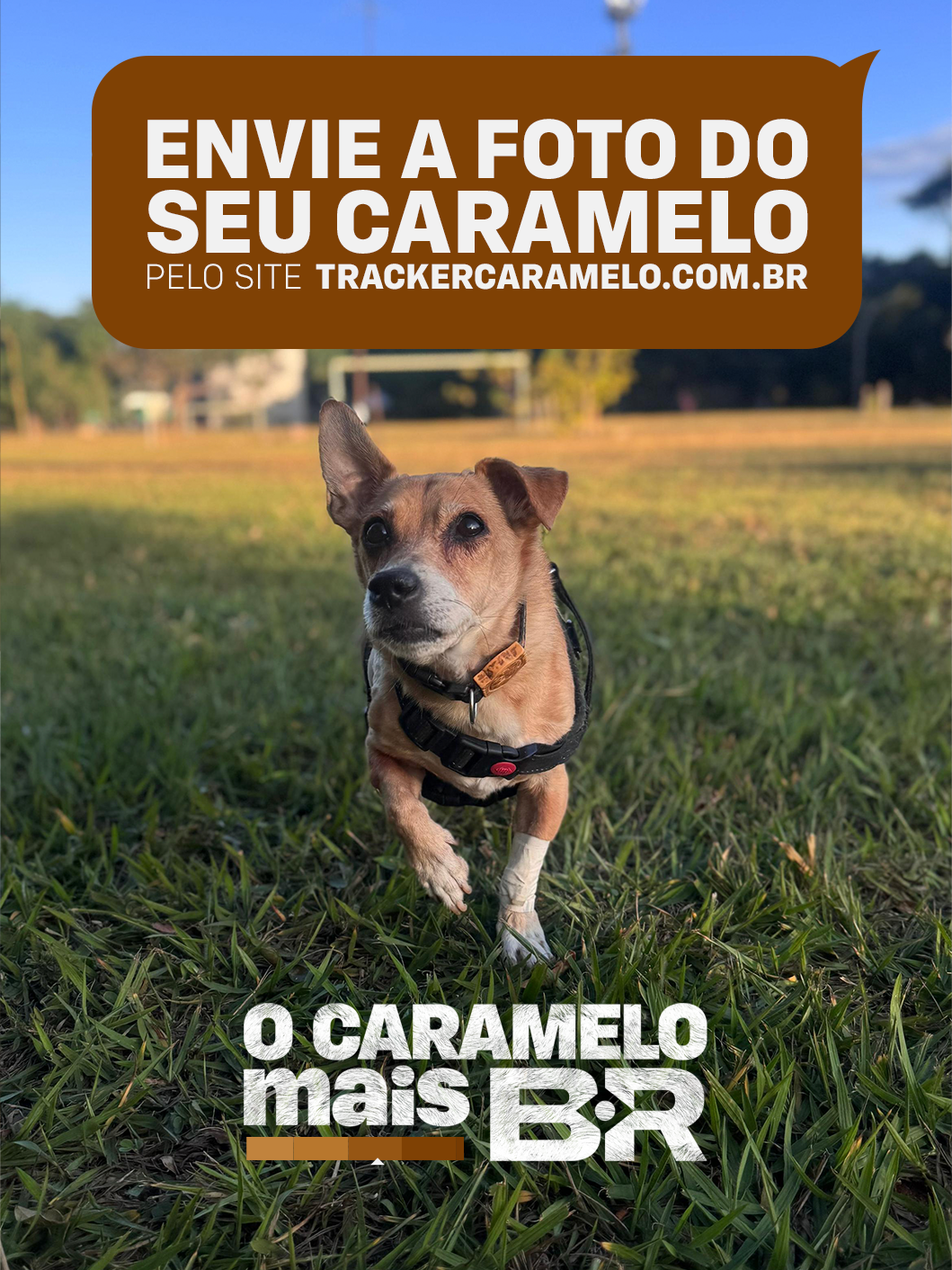 Chevrolet e a @netflixbrasil têm uma missão pra você 🫵 Precisamos encontrar o tom de caramelo mais BR de todos! Com ele, vamos criar uma versão única e exclusiva do Novo Chevrolet Tracker.  Envie a foto do seu caramelo pelo site trackercaramelo.com.br (link tá na bio) e não perca Caramelo, a partir do dia 8/10 na Netflix.
