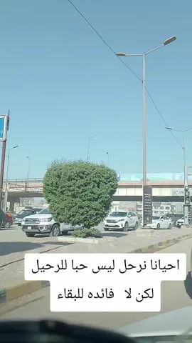#الجمعيه #العراق #كربلاء #الشعب_الصيني_ماله_حل😂😂 