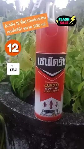 #ป้ายยาtiktok #ยกลัง12ชิ้น #Chaindrite #เชนไดร้ท์ #ขนาด300ml @แทรี @แทรี @แทรี 