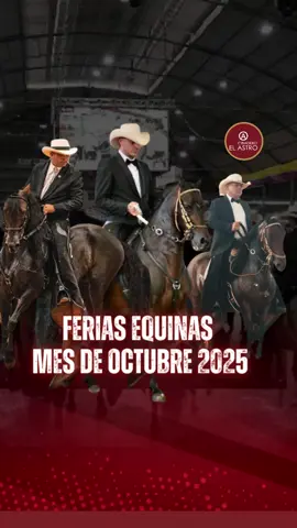 📅🐎 ¡Octubre viene cargado de pasos, trochas y grandes emociones en las ferias equinas de Colombia! Agenda las fechas y vive la pasión del Caballo Criollo Colombiano en cada pista: ✨ Calendario Octubre 2025 Grado A · Oct 3-5 (Vie-Dom) · Armenia – Quindío Grado B · Oct 4-5 (Sab-Dom) · Paujil – Caquetá Grado B · Oct 4-5 (Sab-Dom) · Villeta – Cundinamarca Grado B · Oct 4-5 (Sab-Dom) · Montería – Córdoba Grado A · Oct 11-13 (Sab-Lun) · Florencia – Caquetá Grado B · Oct 11-12 (Sab-Dom) · Manzanares – Caldas Grado B · Oct 16-18 (Jue-Sab) · Rionegro – ExpoRionegro Antioquia Grado B · Oct 18-19 (Sab-Dom) · Suaza – Huila Grado B · Oct 25-26 (Lun-Mar) · Sasaima – Cundinamarca 🌎🐴 Mundial Equino · Oct 27 - Nov 2 (Lun-Dom) · Cali – Valle del Cauca 💬 Cuéntanos en los comentarios, ¿qué feria no te vas a perder este octubre? 👇 #viveapasofino #aprendedelccc #trochapuracolombiana #caballoscolombianos #exposicionequinagradaa  