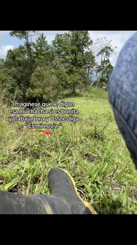 #agropecuaria 