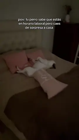JAJAJAJAJAJAJA Ruffo siendo Ruffo 