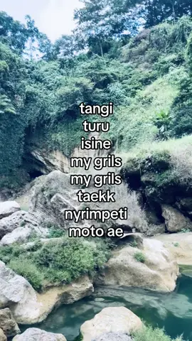 nyrimpeti pagi cerahku
