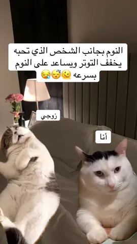 #CapCut #اكسبلورfoyou #fyp #مالي_خلق_احط_هاشتاقات #😂😂😂 