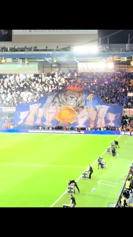 Chelsea vs Benfica  First home Champions league game What a wicked atmosphere. It might of been an own goal but we won! My first champions league game and I loved every second of it. UTC 💙 #fyp #championsleague #football #chelseafc #worldchampions 