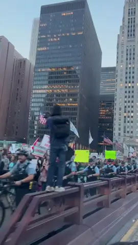 #fypシ #chicagotiktok #fypシ゚viral #downtown #protest 