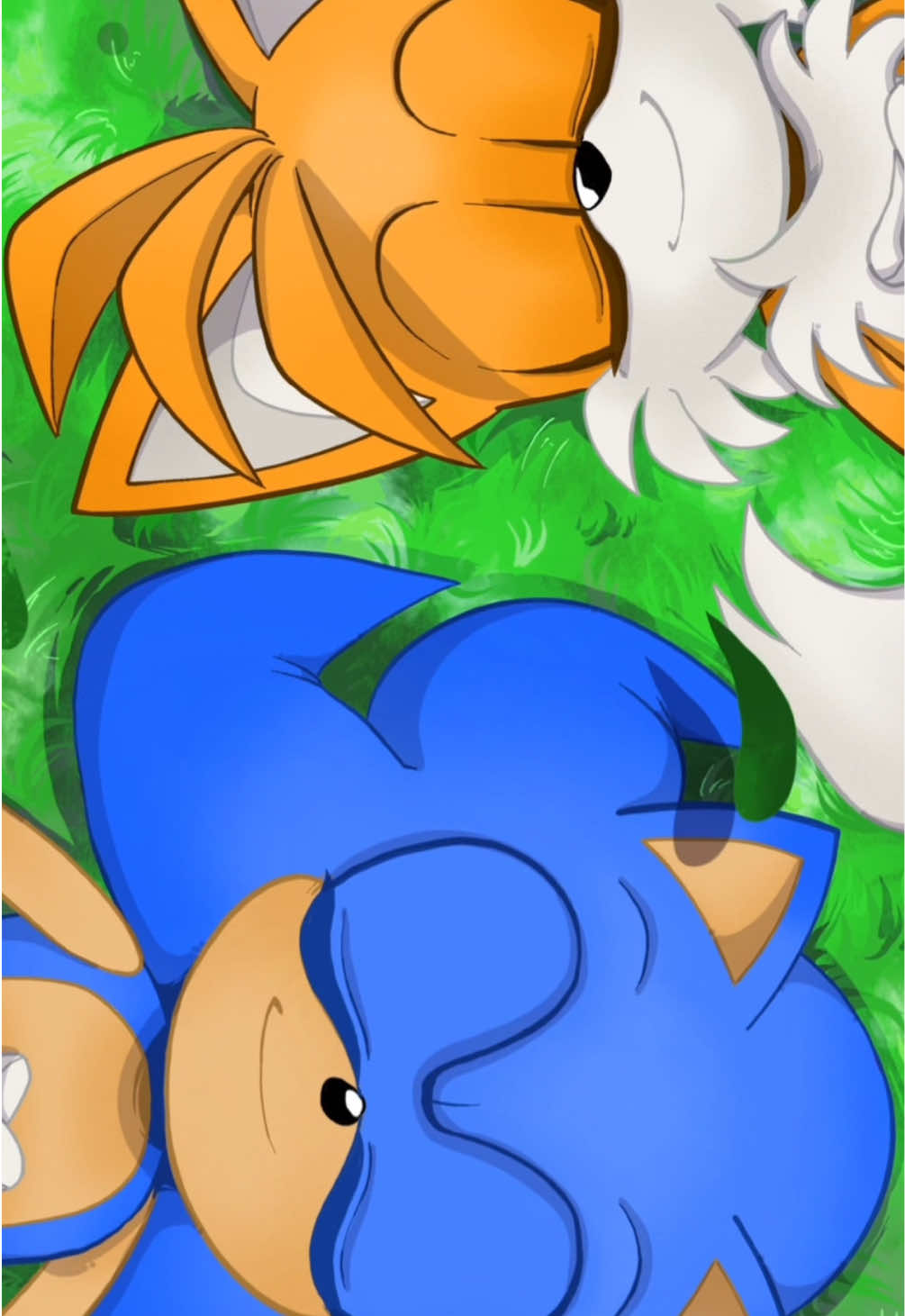 For the last time #sonicprimeconvergenceau #sonicprimeconvergence #sonicprime #tailsthefox #ninethefox #sonicthehedgehog #animation #animationmeme #animationtrend #sonic #sonicau 