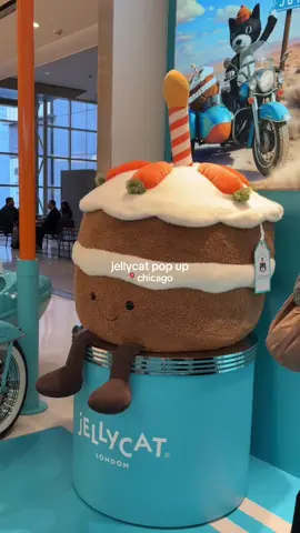 u already know i was going #jellycat #chicago #vlogtiktok #fyp #foryou 