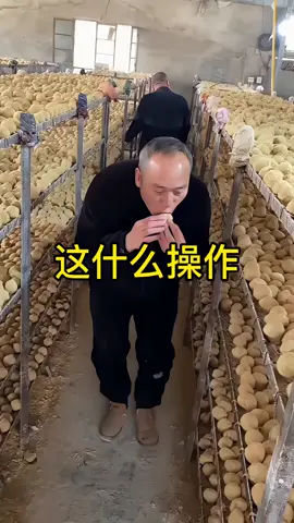 你们知道这是什么吗？#海外生活#旅行#美国#马来西亚#华人