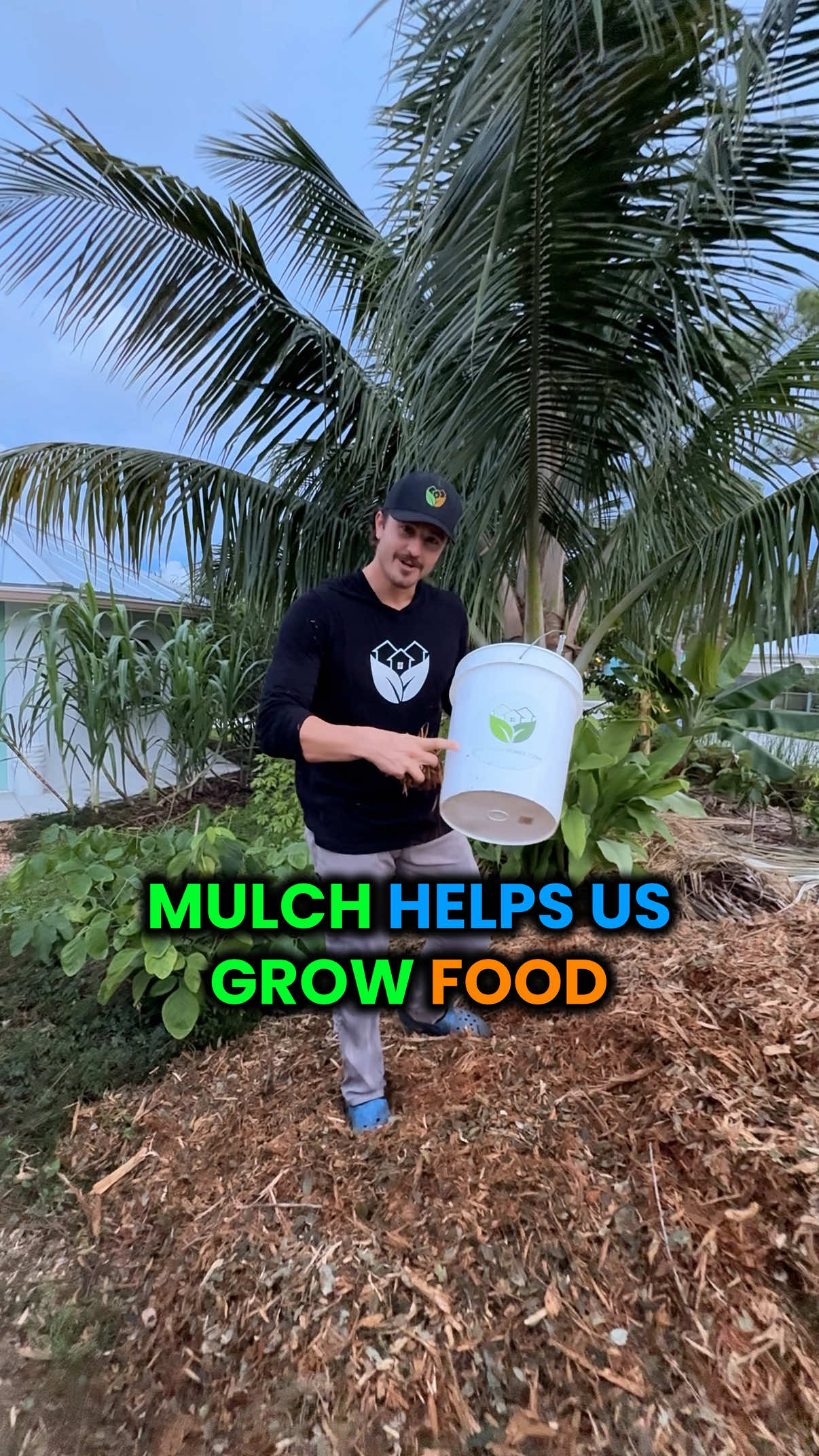 Mulch...one of the biggest reasons our garden thrives in Florida  We get hardwood chips like oak, pine, and sea grape straight from local arborists instead of letting it go to the landfill completely for free! Mulch feeds the soil, helps retain moisture, and builds nutrients that feed fruit trees, sugarcane, bananas, and more! All it takes is a few calls to tree trimmers, a wheelbarrow, and some sweat in the garden This is how we build soil naturally without fertilizers to grow food Do you use mulch in your garden or want to try? Let us know in the comments Follow @GrowInnHomes for more food growing and real estate tips 🏡 We buy fixer-upper real estate and grow food on our rental properties. We believe growing food is a gateway to healthier habits 🌿 #GrowInnHomes #GrowingFood #Gardening #TikTokLearningCampaign #Mulch