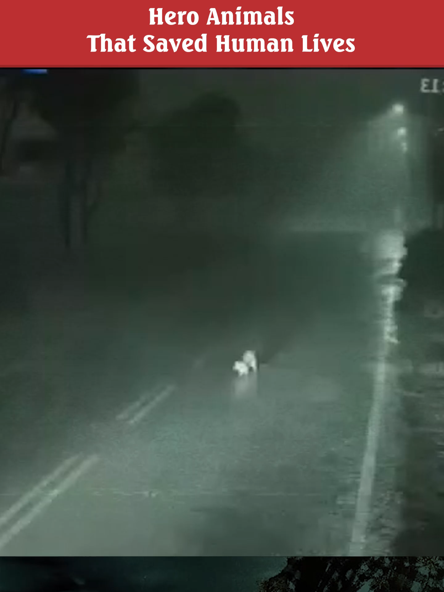 We all have a guardian angel #scaryvideosaz