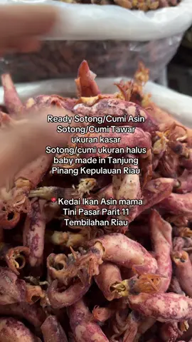 Ready Sotong/Cumi Asin Sotong/Cumi Tawar ukuran kasar Sotong/cumi ukuran halus baby made in Tanjung Pinang Kepulauan Riau 📍Kedai Ikan Asin mama Tini Pasar Parit 11 Tembilahan Riau