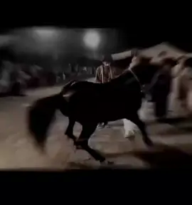 #خيل_وخياله🐎 #خيل_عربي_اصيل🐎🐎 #ماشاءالله_تبارك_الله_اذكروا_الله #انتشار_سريع #ترقيص_الخيل 