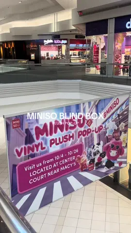 We’ll be here ⭐️ 💗 ☁️ 📦  #miniso #blindox #fy #woodfieldmall #schaumburg 