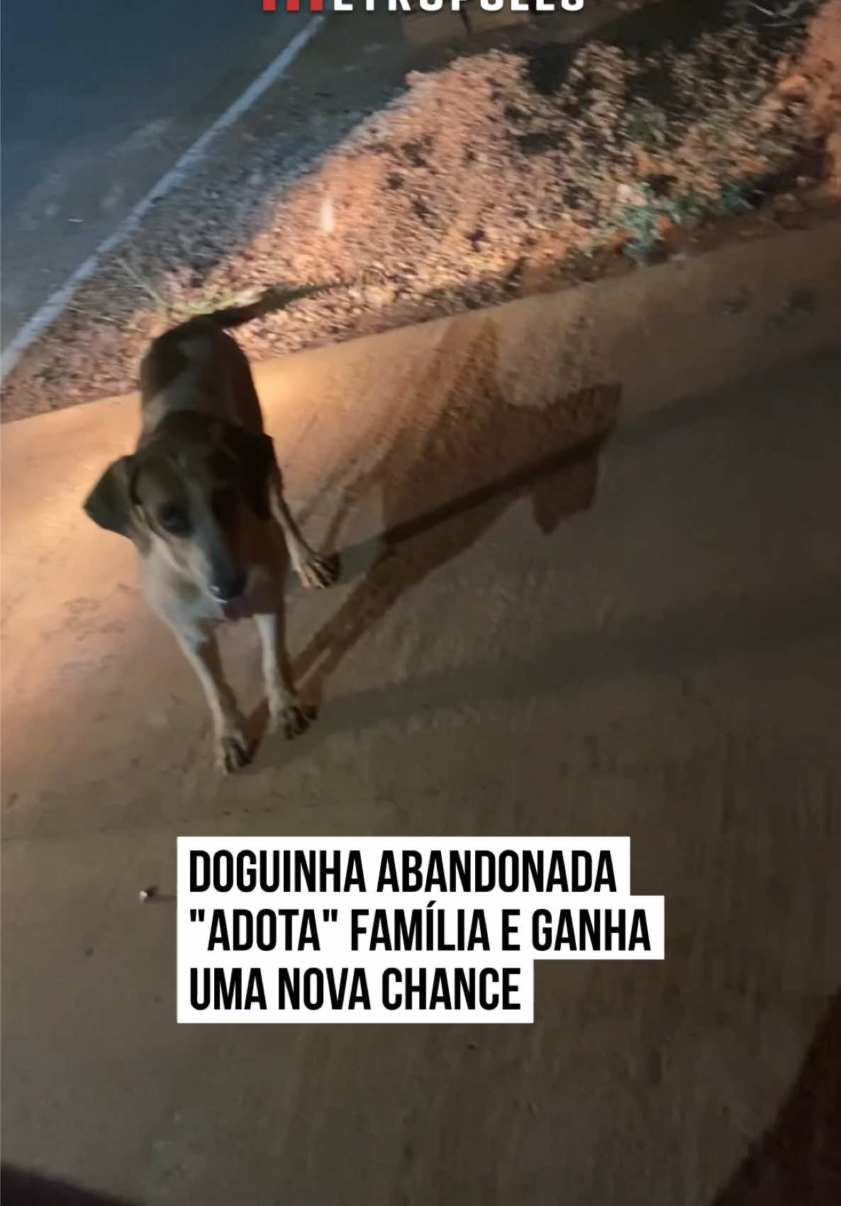 🥹❤️🐶 Uma nova chance para a doguinha! Uma cachorrinha, que havia sido abandonada, decidiu adotar uma nova família. No vídeo, ela aparece em frente ao portão, e a dona chega a brincar dizendo que não iria abrir. Mas, persistente, ela não foi embora. Em outra cena compartilhada, já em um momento diferente, a doguinha surge feliz, correndo e brincando com os dois cães da família, mostrando que encontrou carinho e acolhimento. Que fofinha! #entretênews 📹 Leehroma | @myhoodbr
