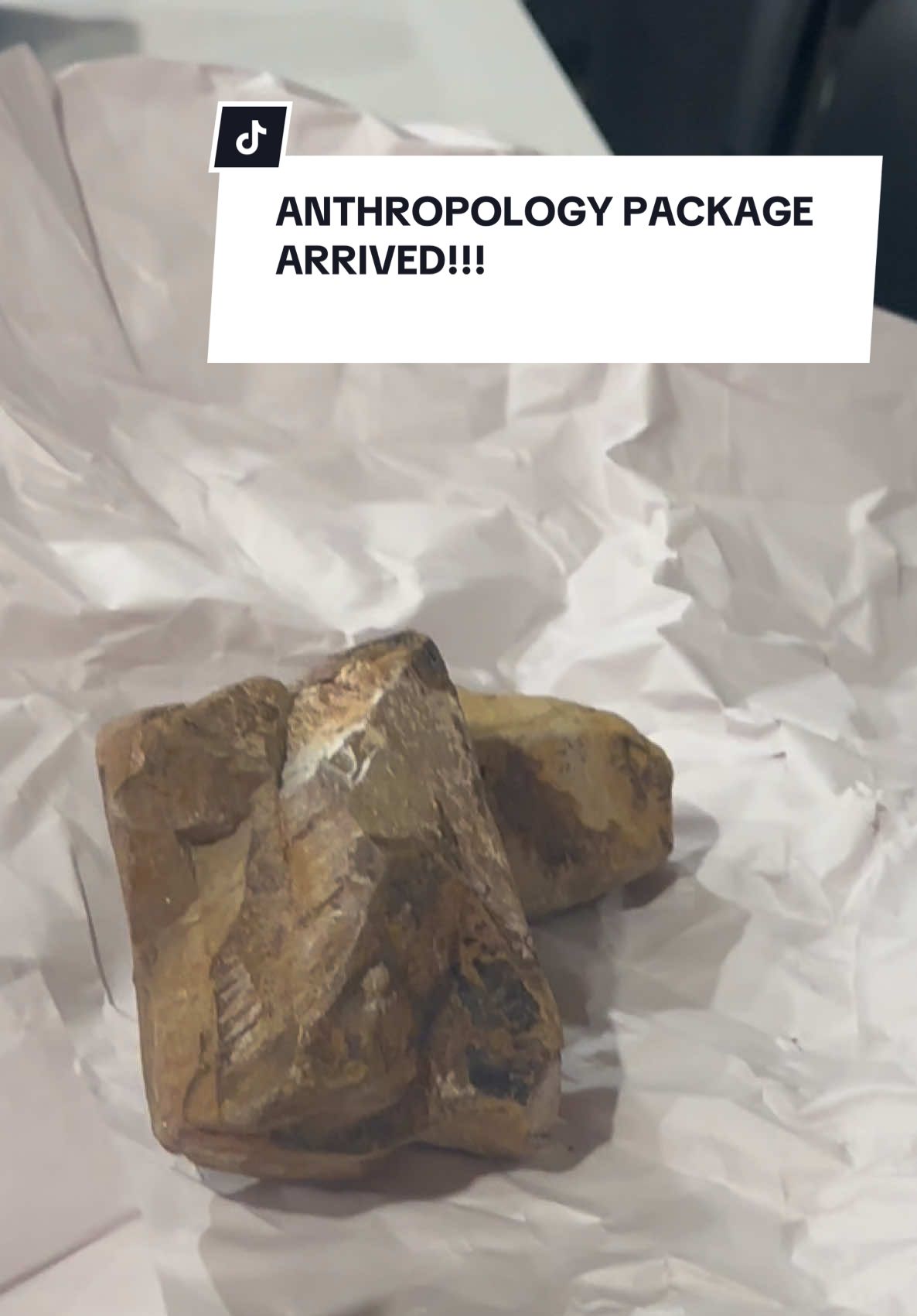 #anthropologyrock chaotic package revealing with Ricky 😂🤦🏽‍♀️😩 #fyp #fypシ゚viral #anthropology #prank @SabRio2011 