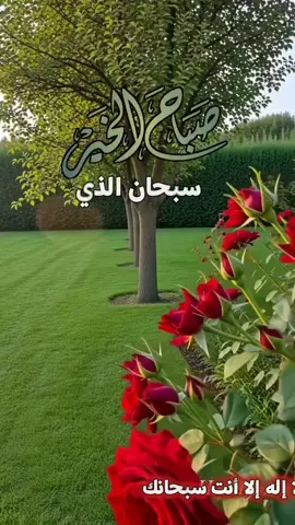 سُبحان الذي إذا ذكرته ذكرك، وإن شكرته زادك، وإن توكلت عليه كفاك .. لا إله إلا أنت سبحانك إني كنت من الظالمين🌹🌿#صباحكم_سعاده #اللهم_بك_اصبحنا#اصباحنا_و_اصبح_الملك_لله #صباح_الخيِر #صباح_الورد          
